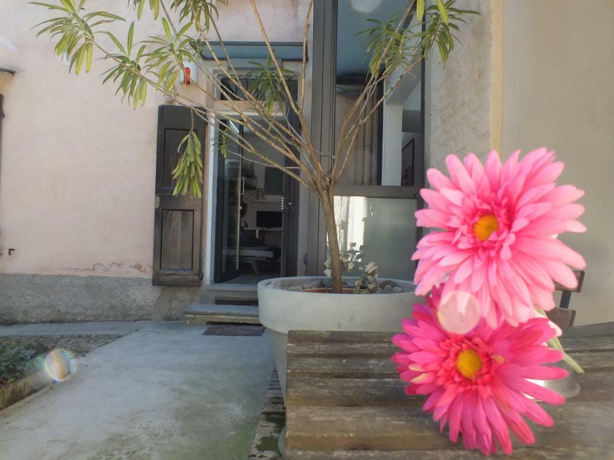 Loft Garden In Bologna'S Heart Ospedale Rizzoli Apartment Exterior photo